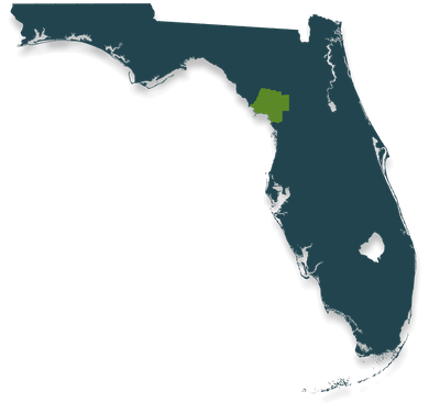 A map of florida with the state highlighted in green