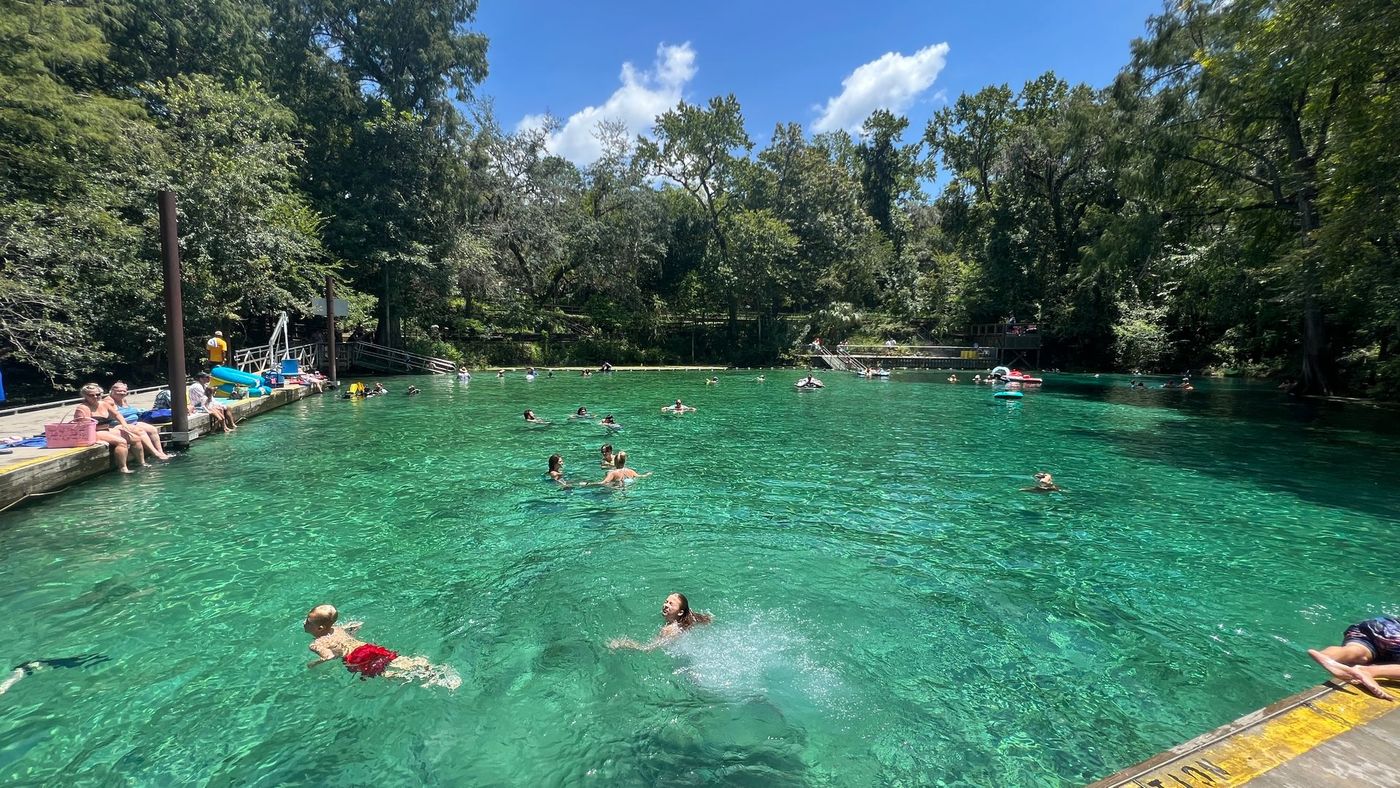 A group of people are swimming in a large swimming pool surrounded by trees.