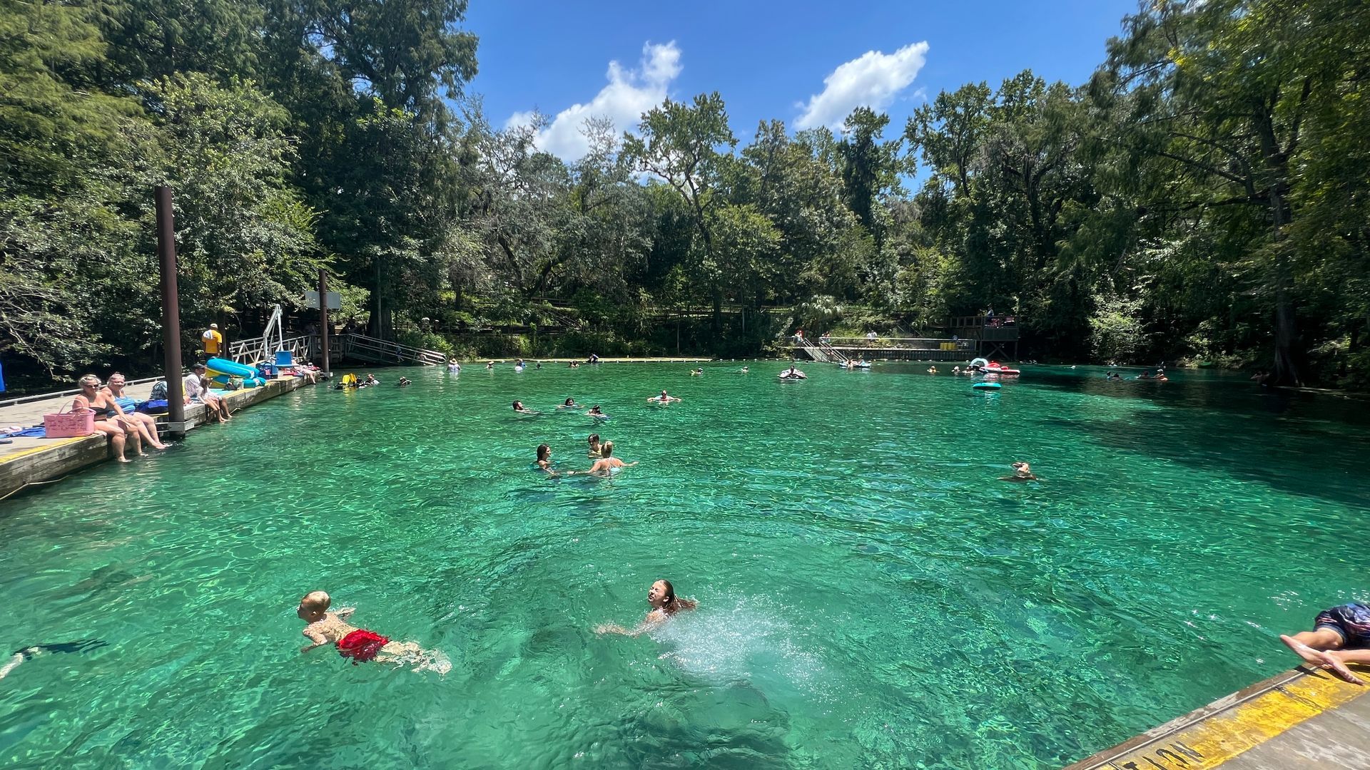 A group of people are swimming in a large swimming pool surrounded by trees.