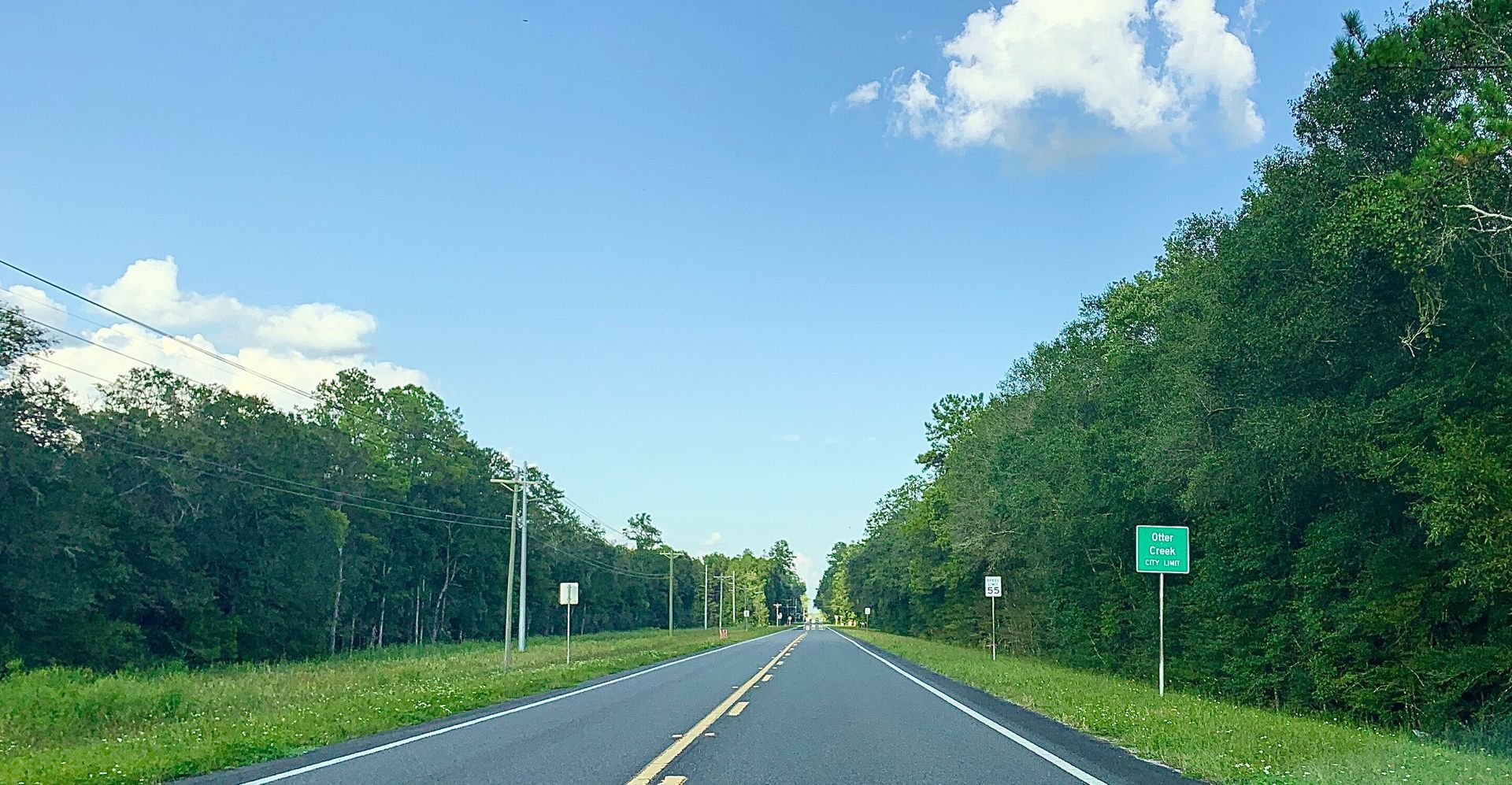 A road with trees on both sides and a green sign