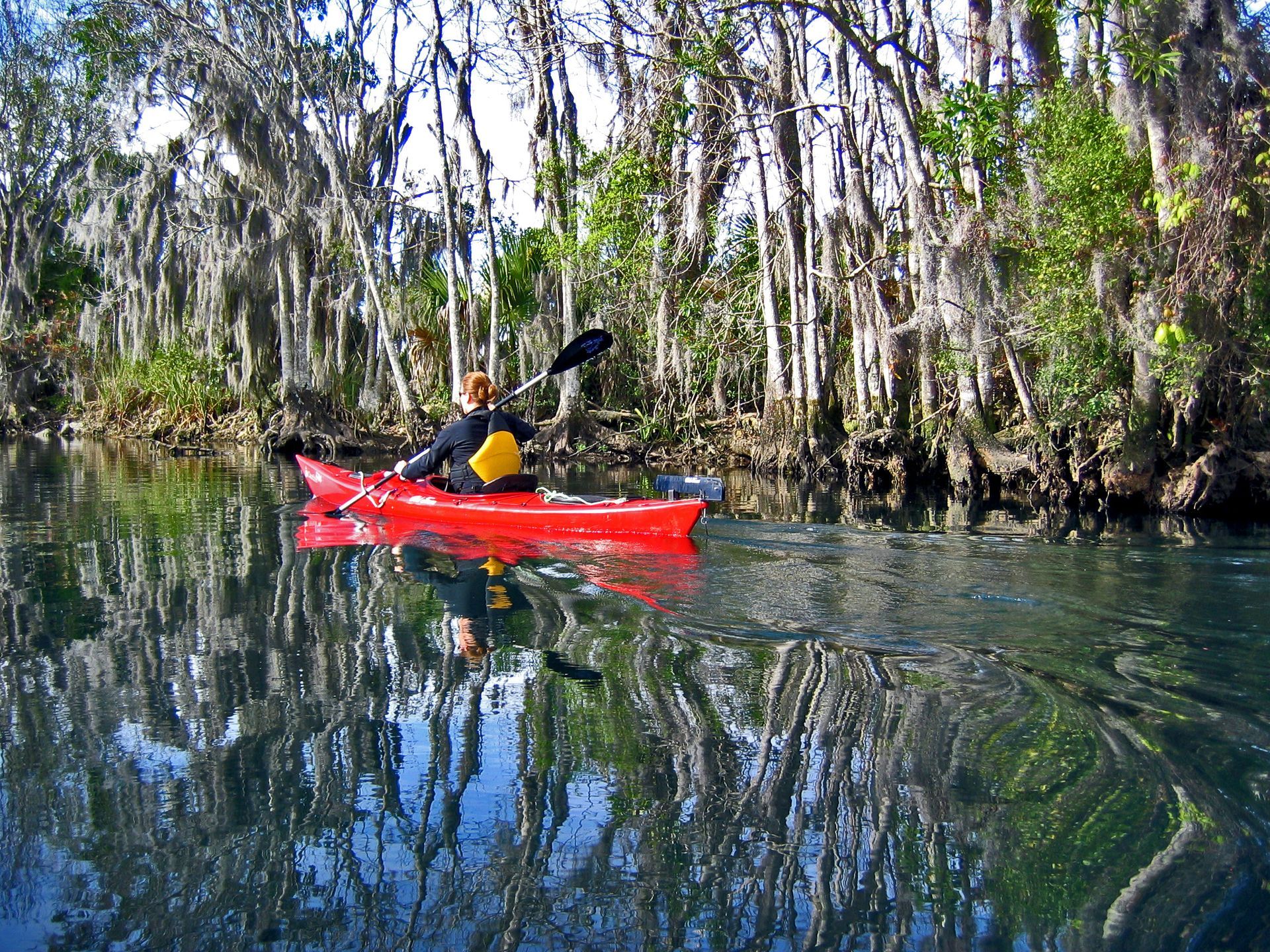 A person is paddling a red kayak on a river surrounded by trees.