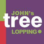Tree Lopping & Removal Newcastle