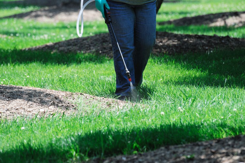 Person Spraying Lawn — John's Tree Lopping in Belmont, NSW