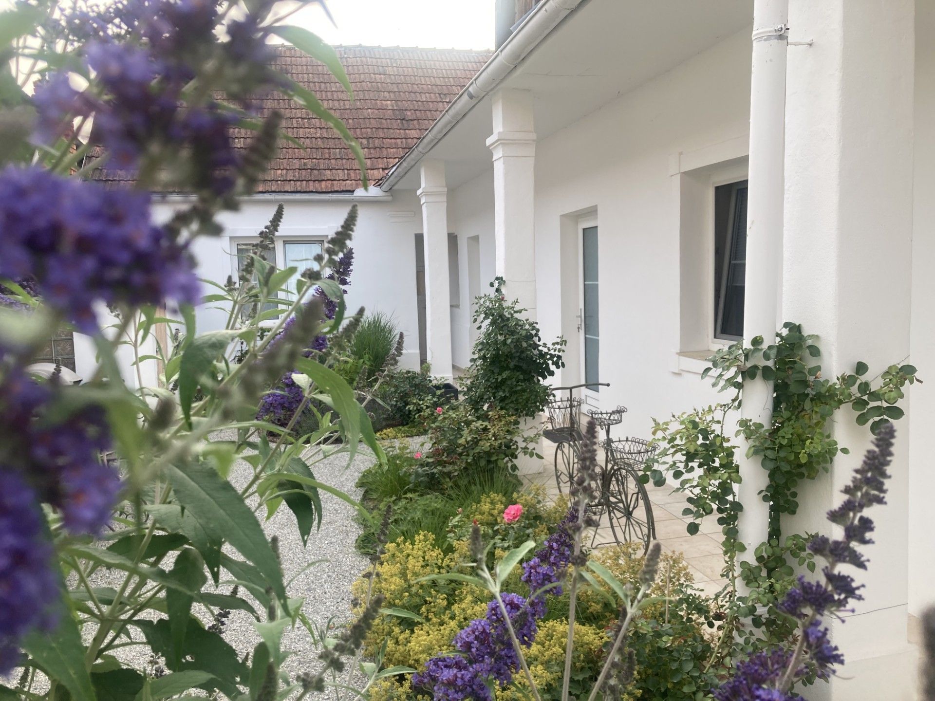 Weißes Gebäude mit Säulen, lila Blumen und Grün davor.