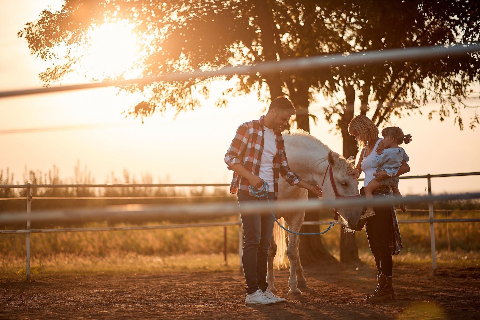 Eine Familie streichelt ein weißes Pferd in einem Gehege. Mann, Frau mit Kind und Pferd vor dem Sonnenuntergang.