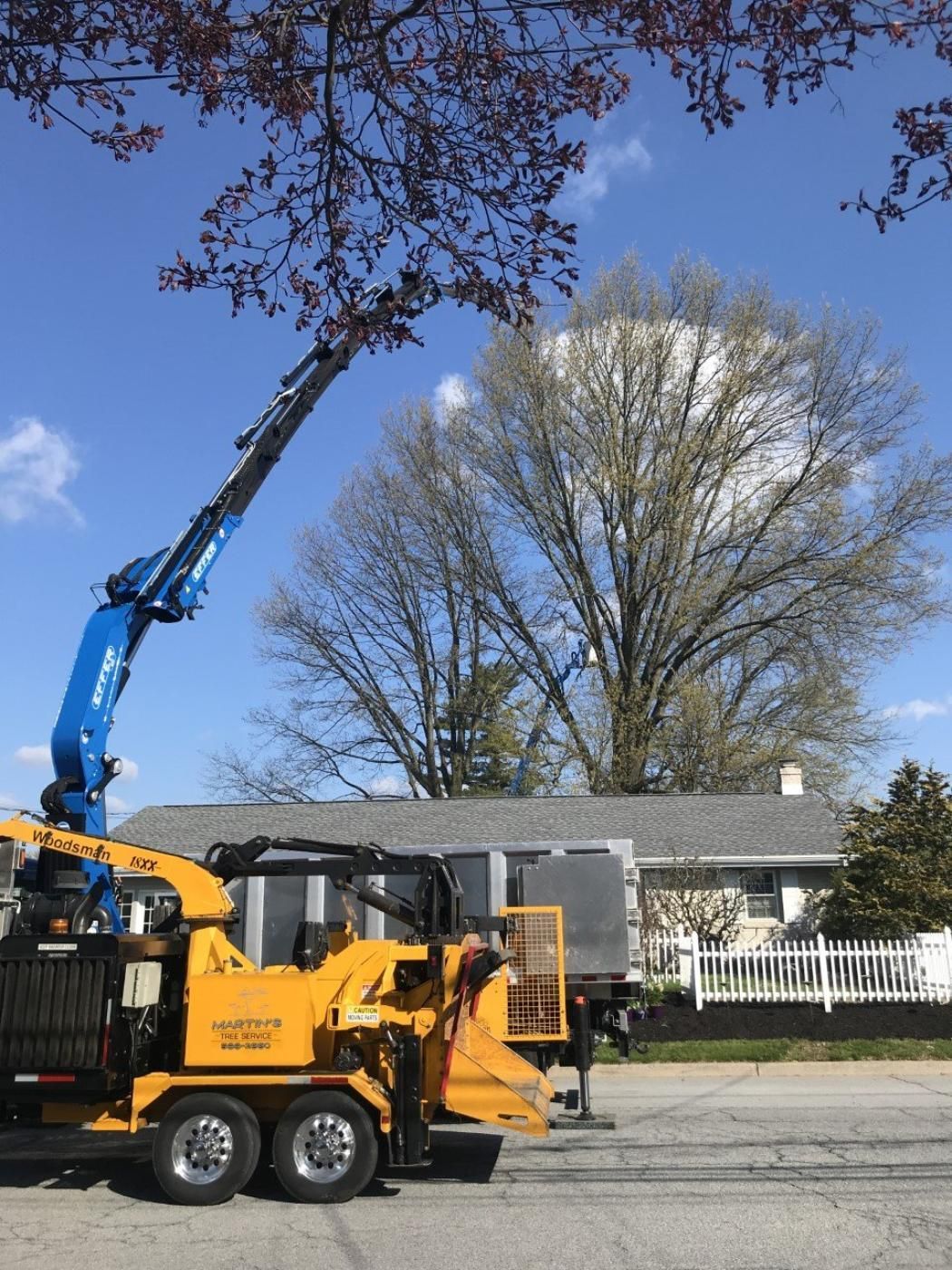 Tree Pruning