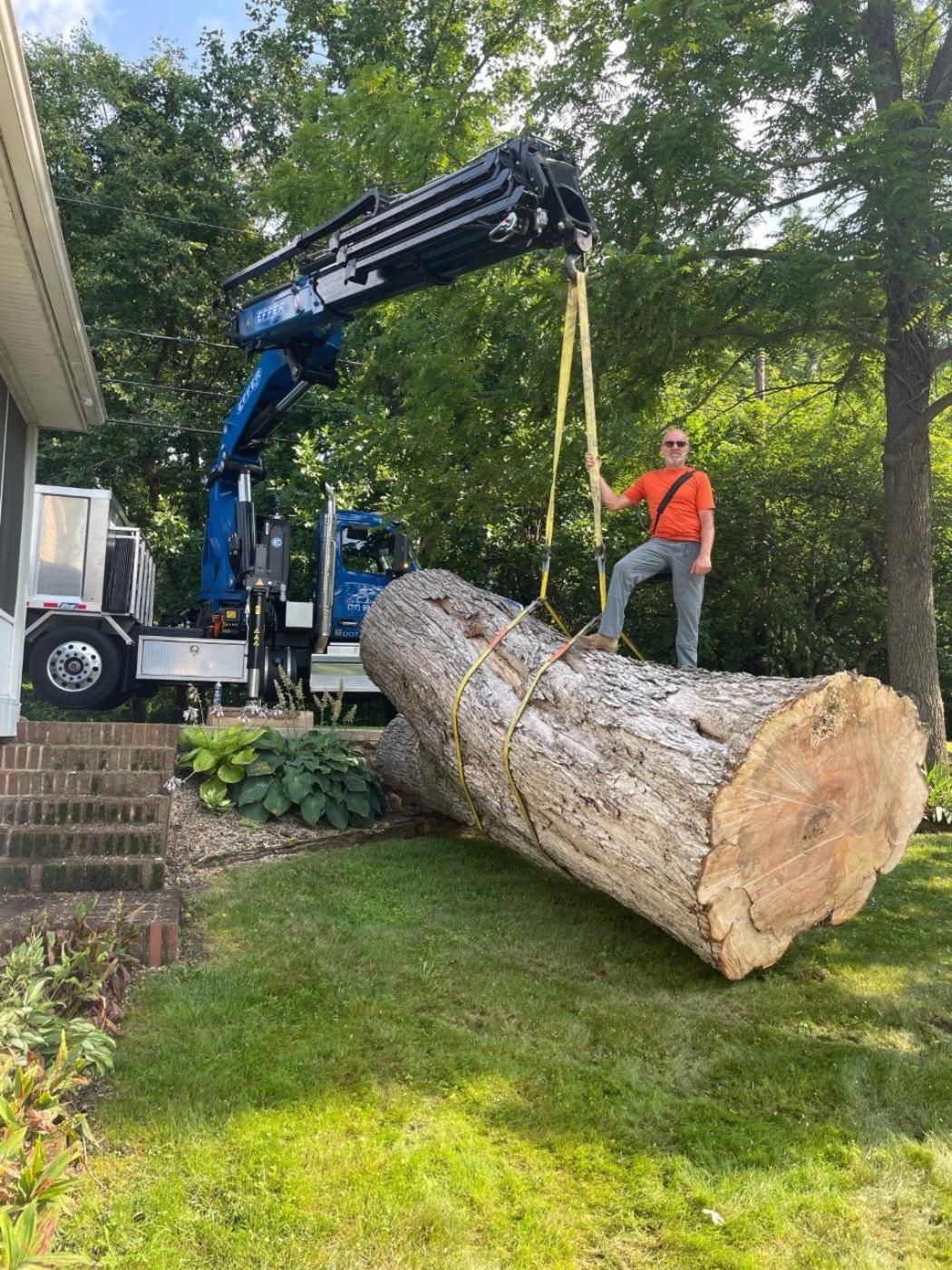 Tree Removal