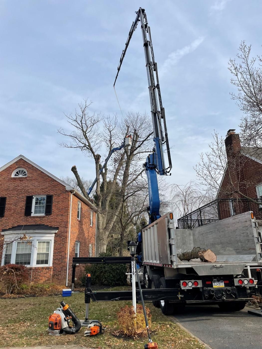 Tree Removals