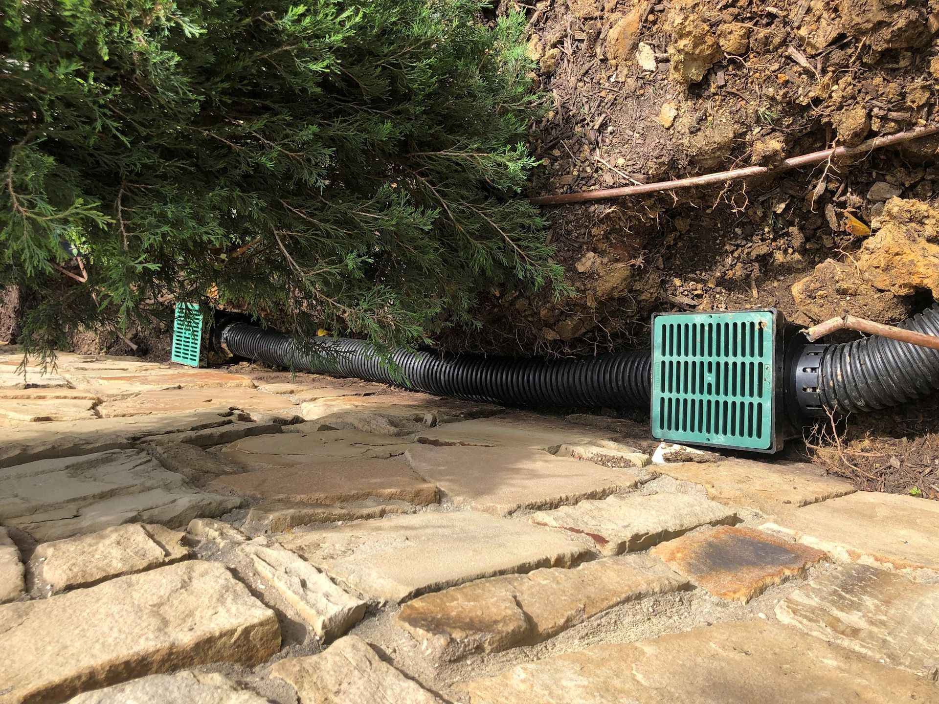 Drainage system with black corrugated pipe and green grates near paving stones and a bush.