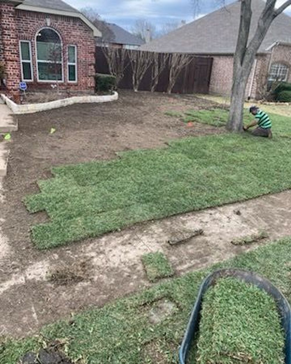Water sprinklers watering flowers and grass next to a stone path, with a garden light.