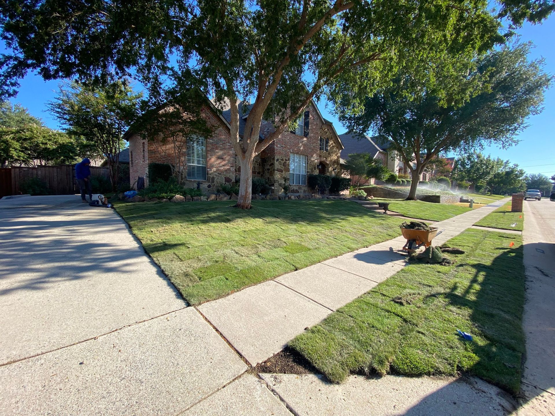 New sod laid on a residential lawn, with a house, sidewalk, and street visible. Green grass, blue sky.