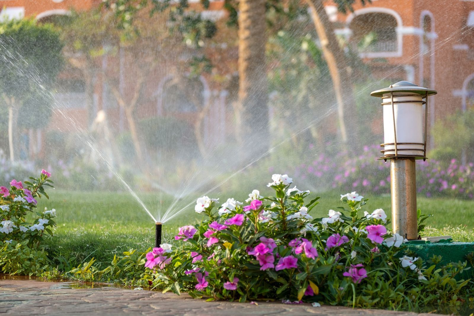 Sprinkler watering flowers in a garden, with a lamppost nearby.