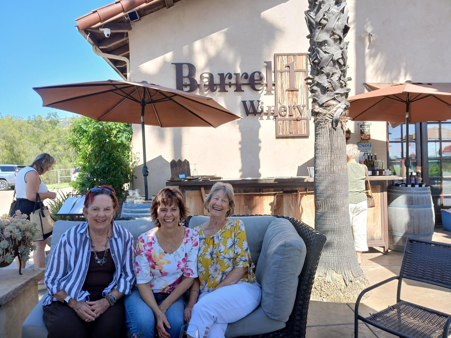 Ramona wine tour limo service