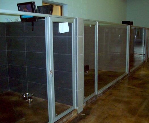 A row of dog kennels with clear glass walls