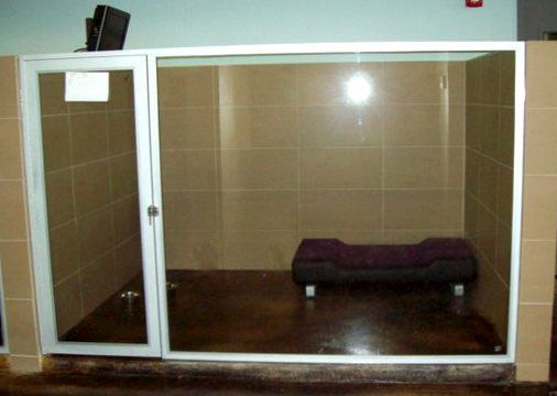 A dog kennel with a purple dog bed in it