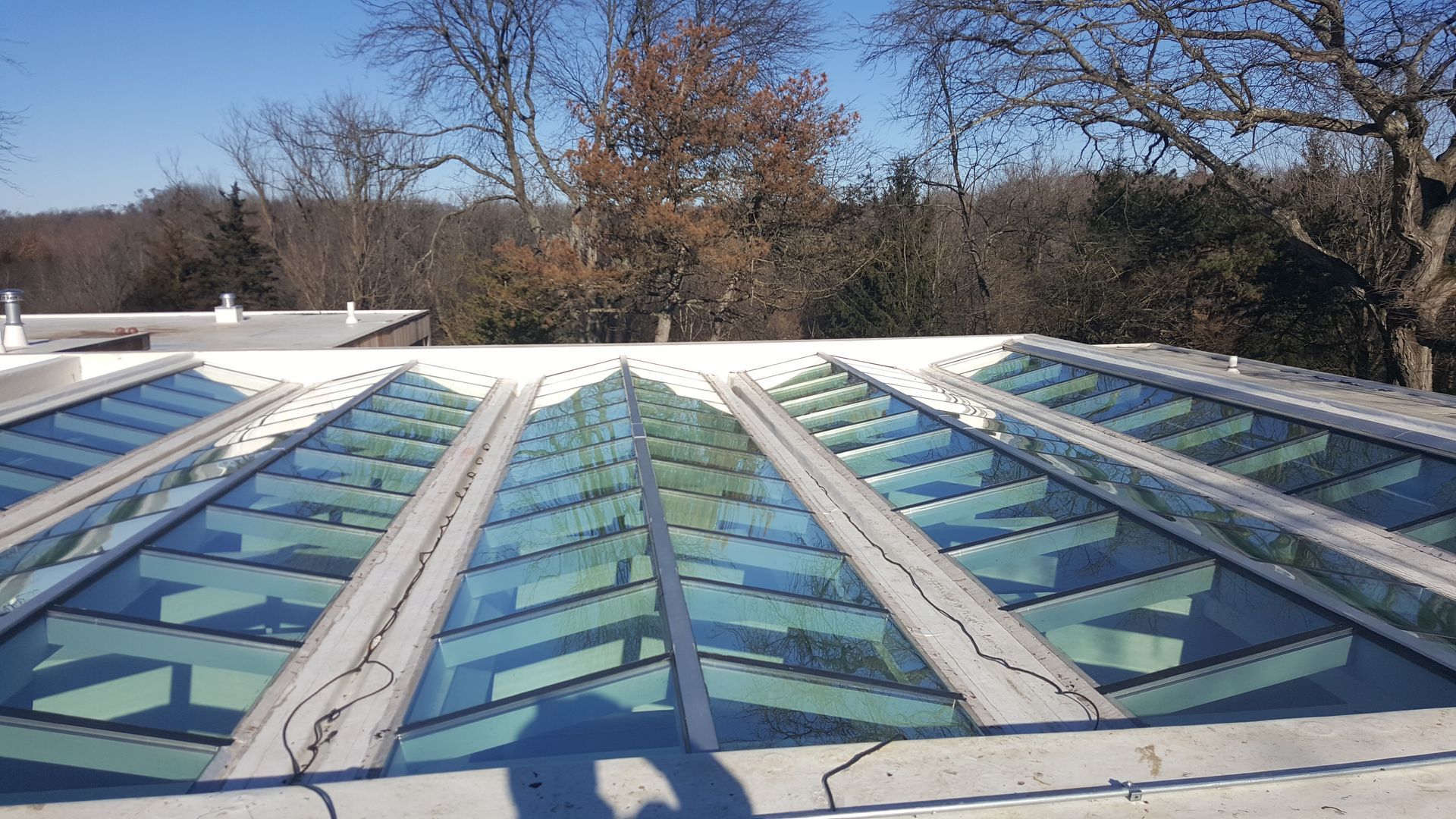 A roof with a lot of windows and trees in the background