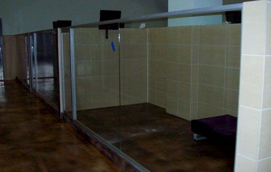 A row of empty dog kennels with a purple dog bed in the middle.