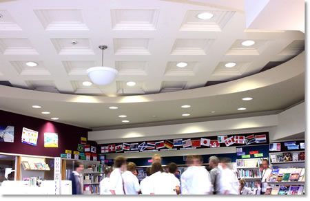 People browsing books in a library with a curved ceiling. The ceiling has recessed lighting, and international flags are displayed below.