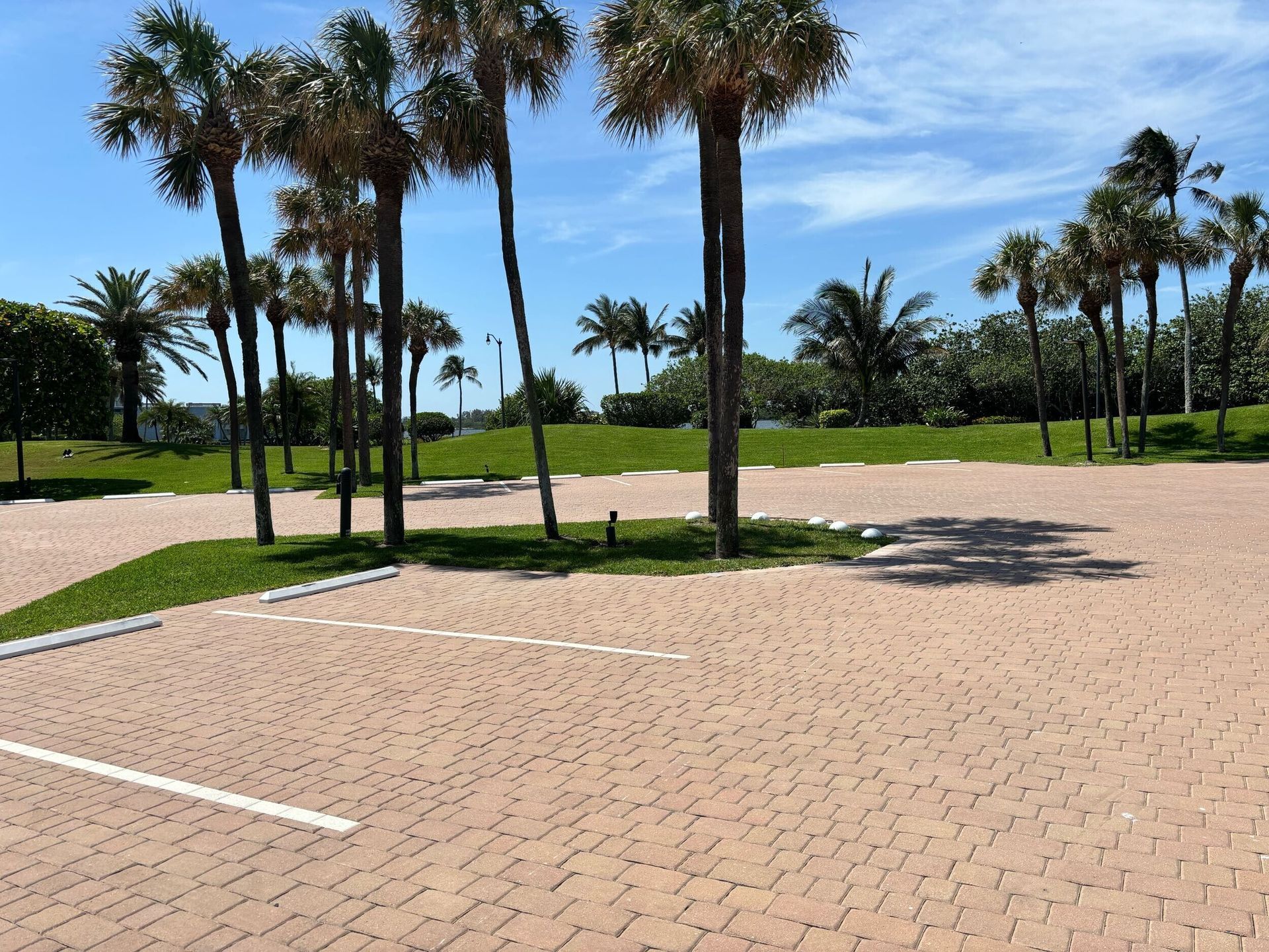 Brick parking lot with palm trees under a blue sky.