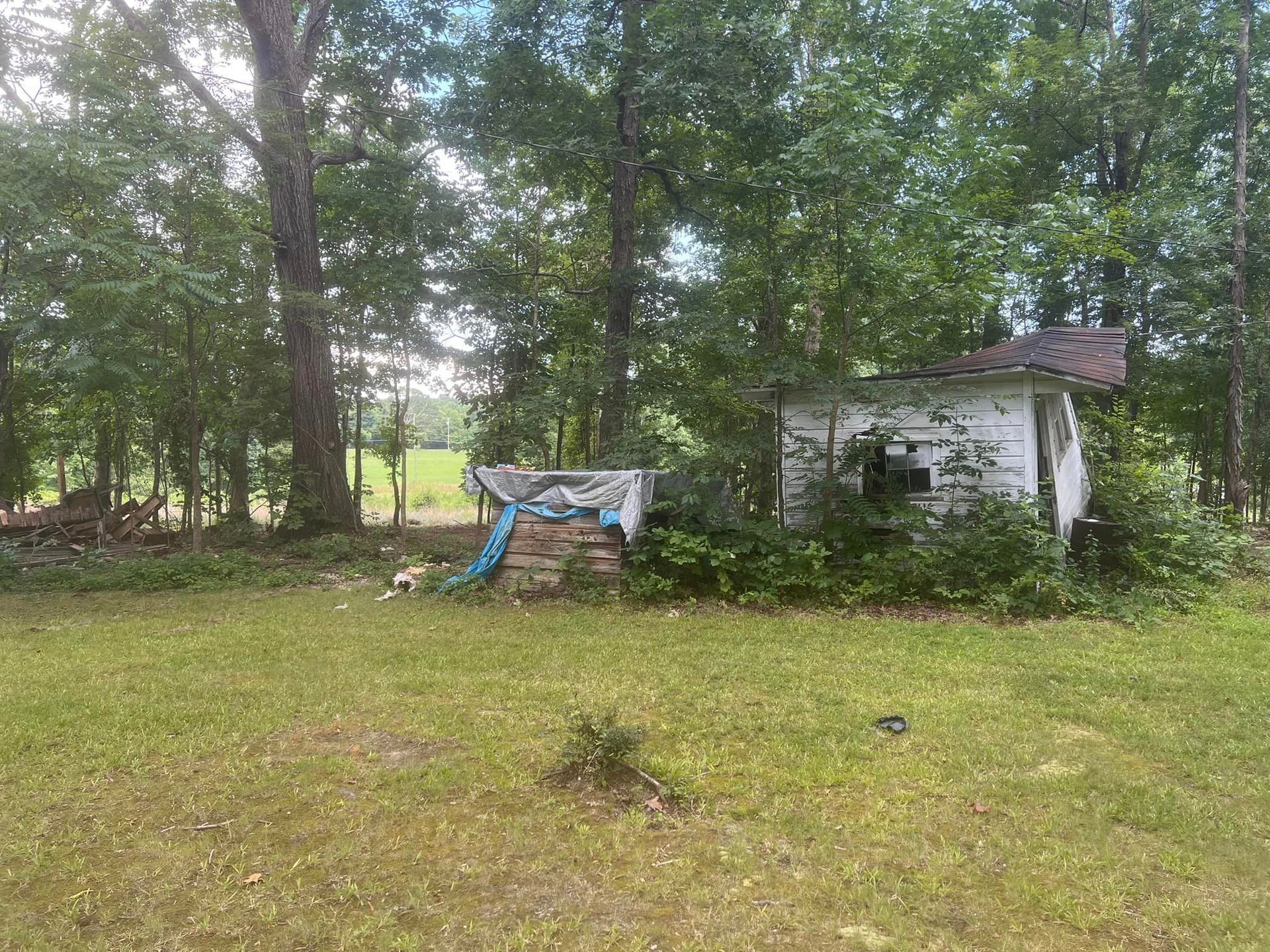 A small white house is sitting in the middle of a grassy field surrounded by trees.