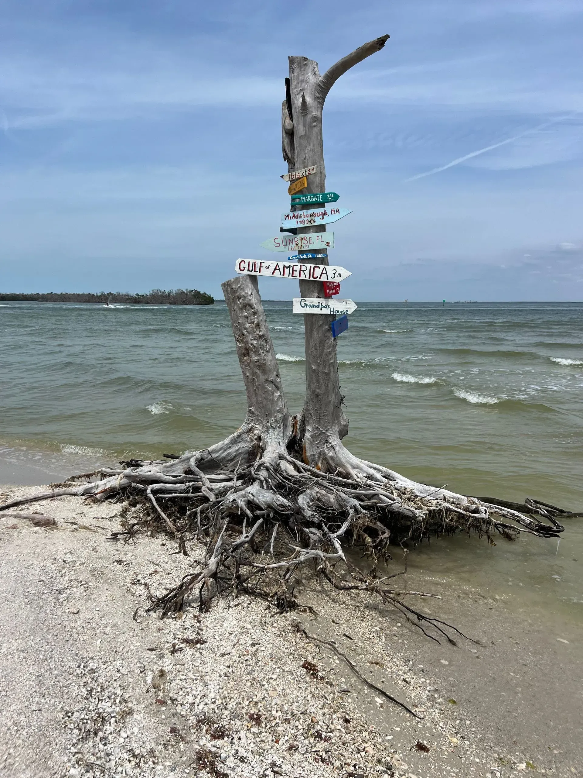 Weathered tree trunk with directional signs on a sandy beach, water and sky in the background.