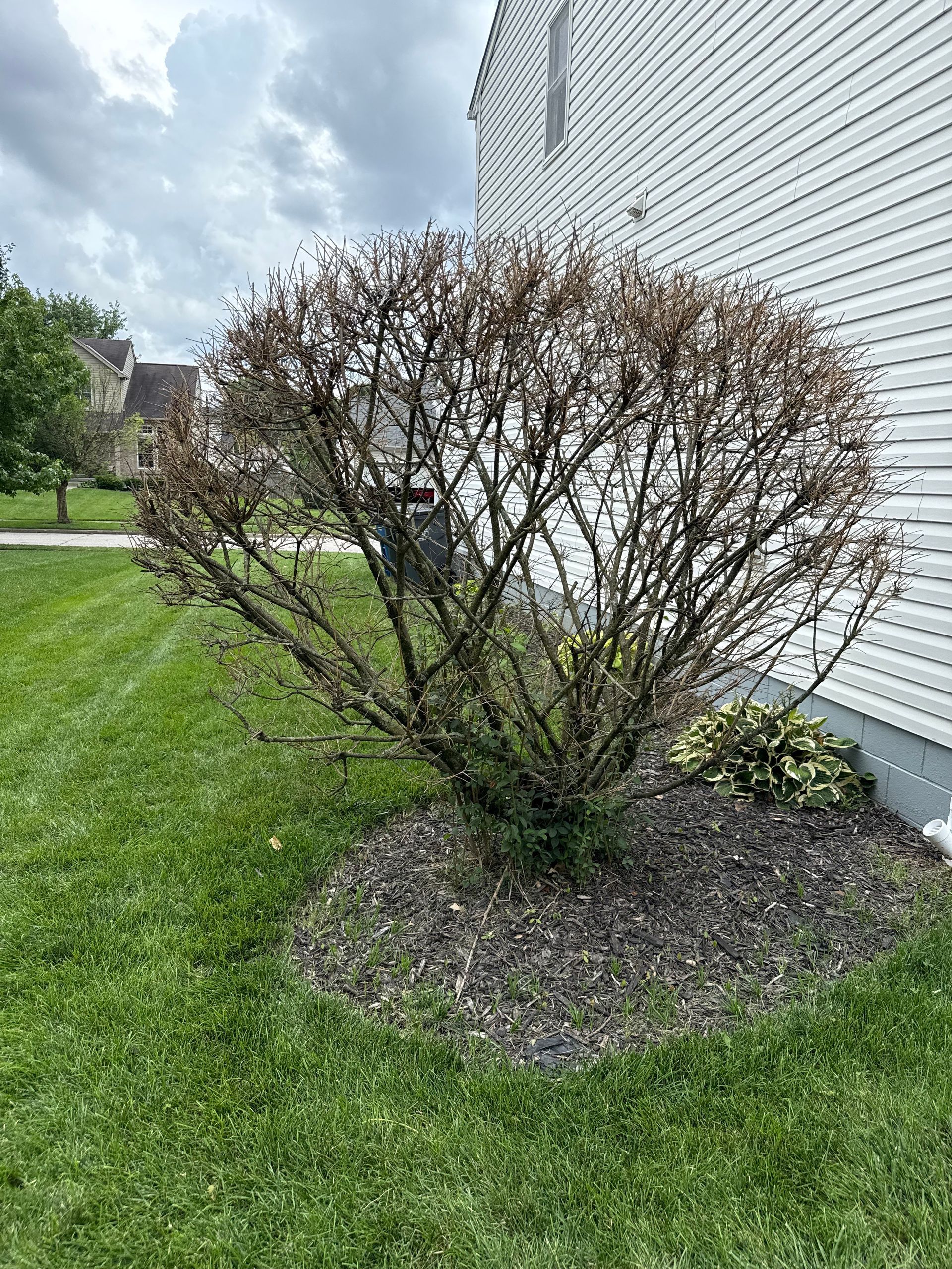 A person holding a baby up in the air indoors near a window, baby smiling.