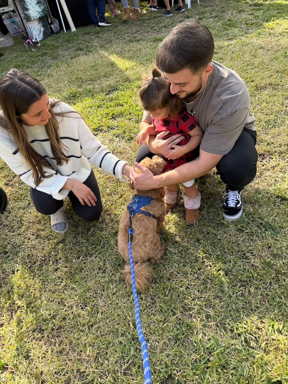 Family with a toddler and dog outdoors. Woman, man, and child petting a brown poodle on a leash.