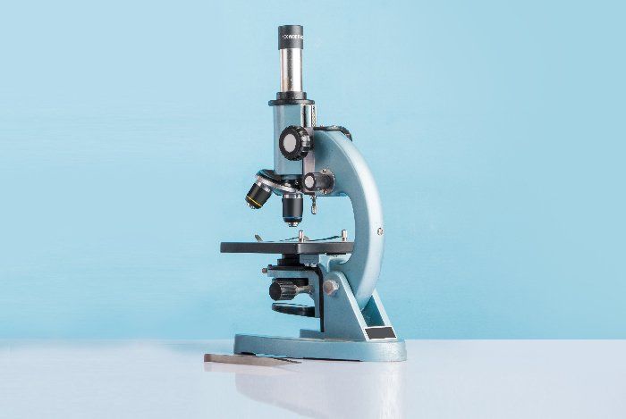 CULTURA MICROBIOLOGICA