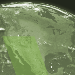 A green globe with the united states highlighted