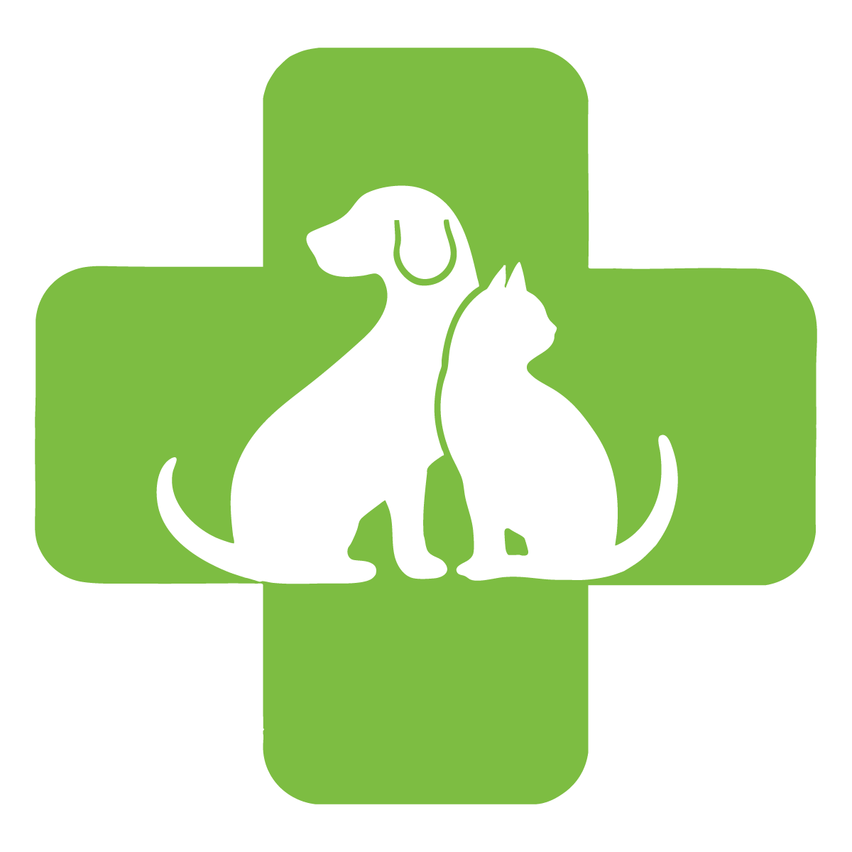 A dog and a cat are sitting next to each other in a green cross.