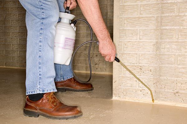 A man operates a sprayer to clean a wall, demonstrating effective pest control in Reno NV.