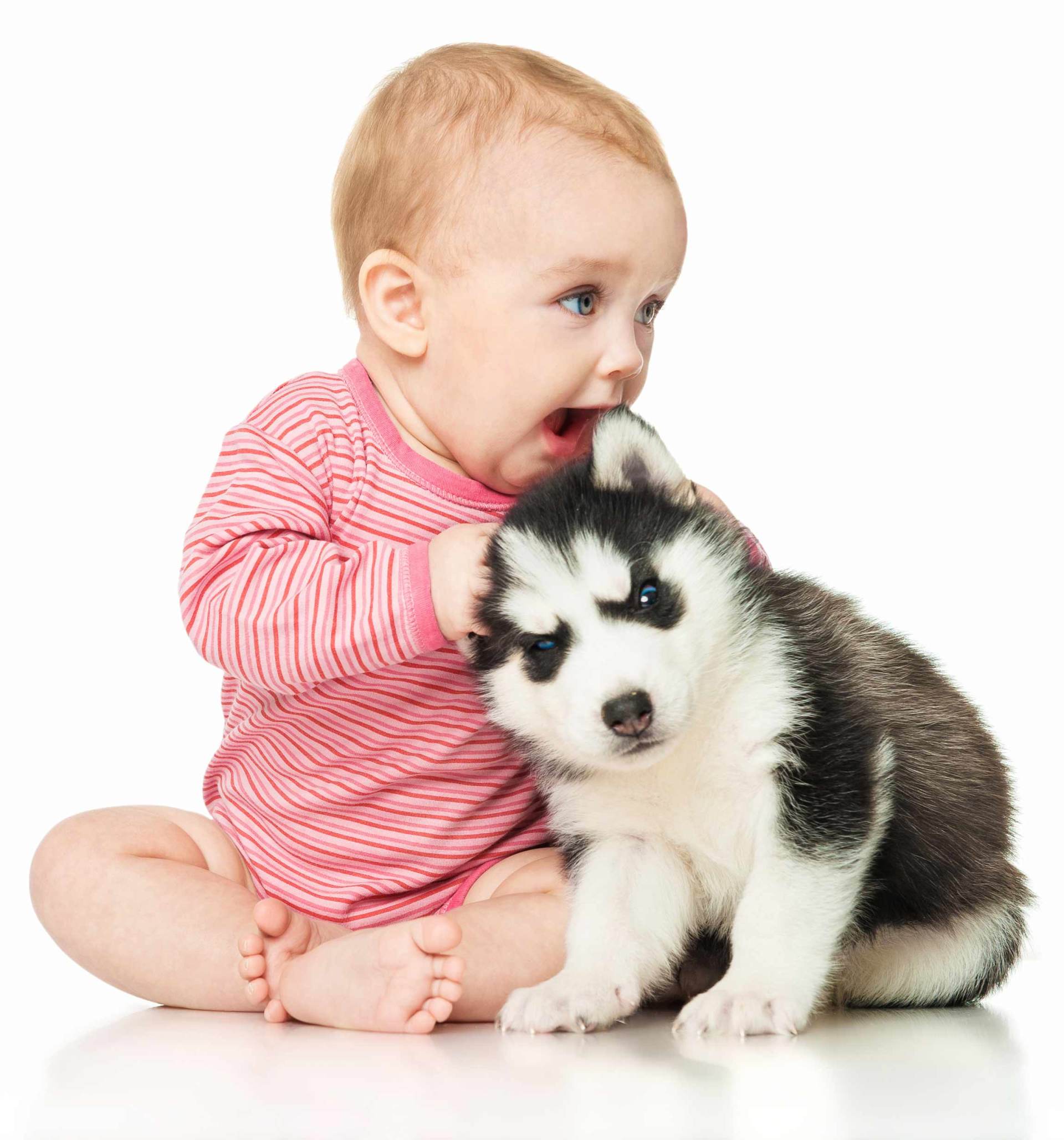 Young Toddler and Puppy | Reno, NV | Statewide Termite and Pest Control Inc