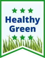 healthy green icon