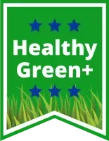 healthy green plus icon