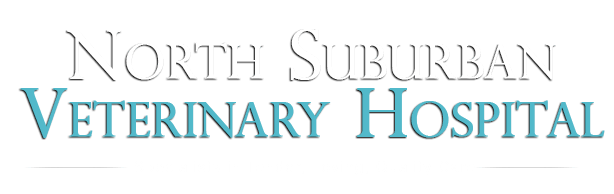 Suburban best sale vet clinic