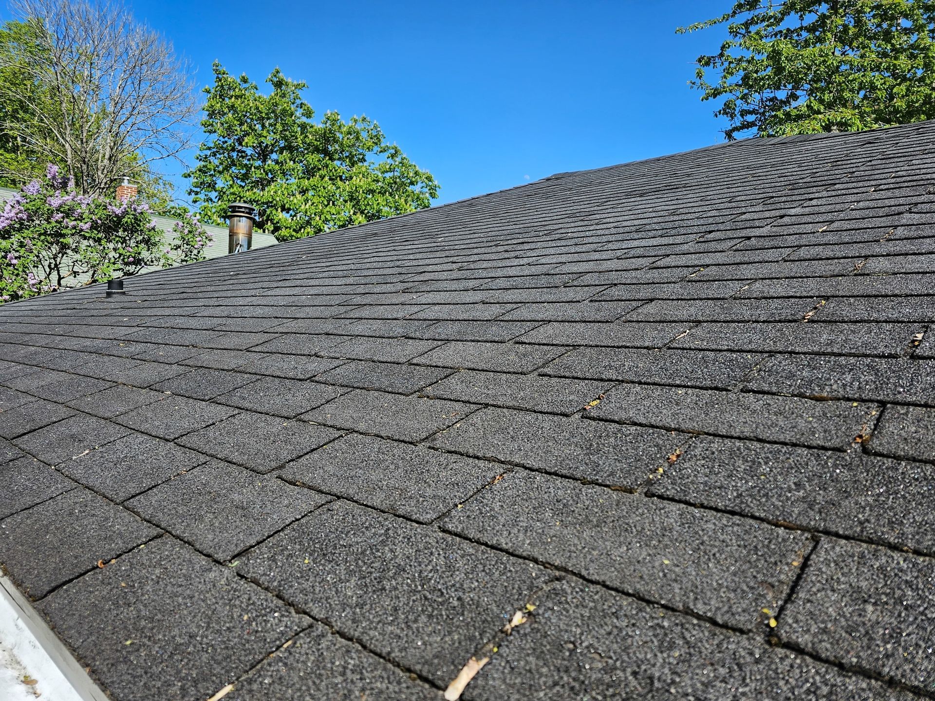 Close-up of a dark, shingled roof under a clear blue sky, with visible grit texture and green trees in the background.