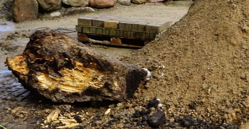 Entfernter Wurzelstockrest auf der Baustelle