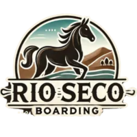 Empty white background.