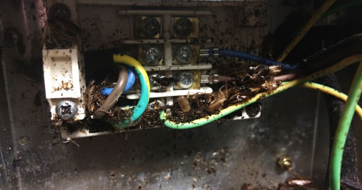 Electrical Inspection In Older Preowned Home Before Buying Sunshine Coast