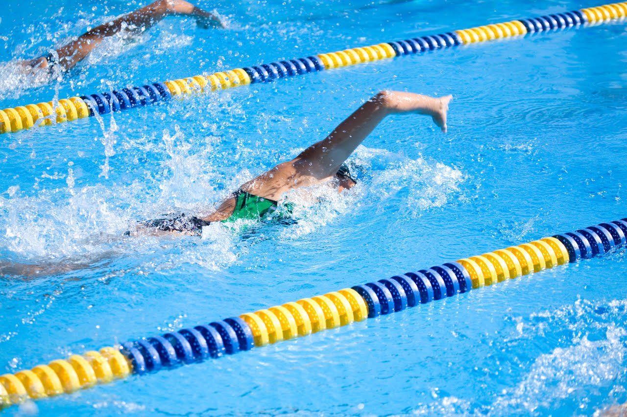 A group of people are swimming in a swimming pool.