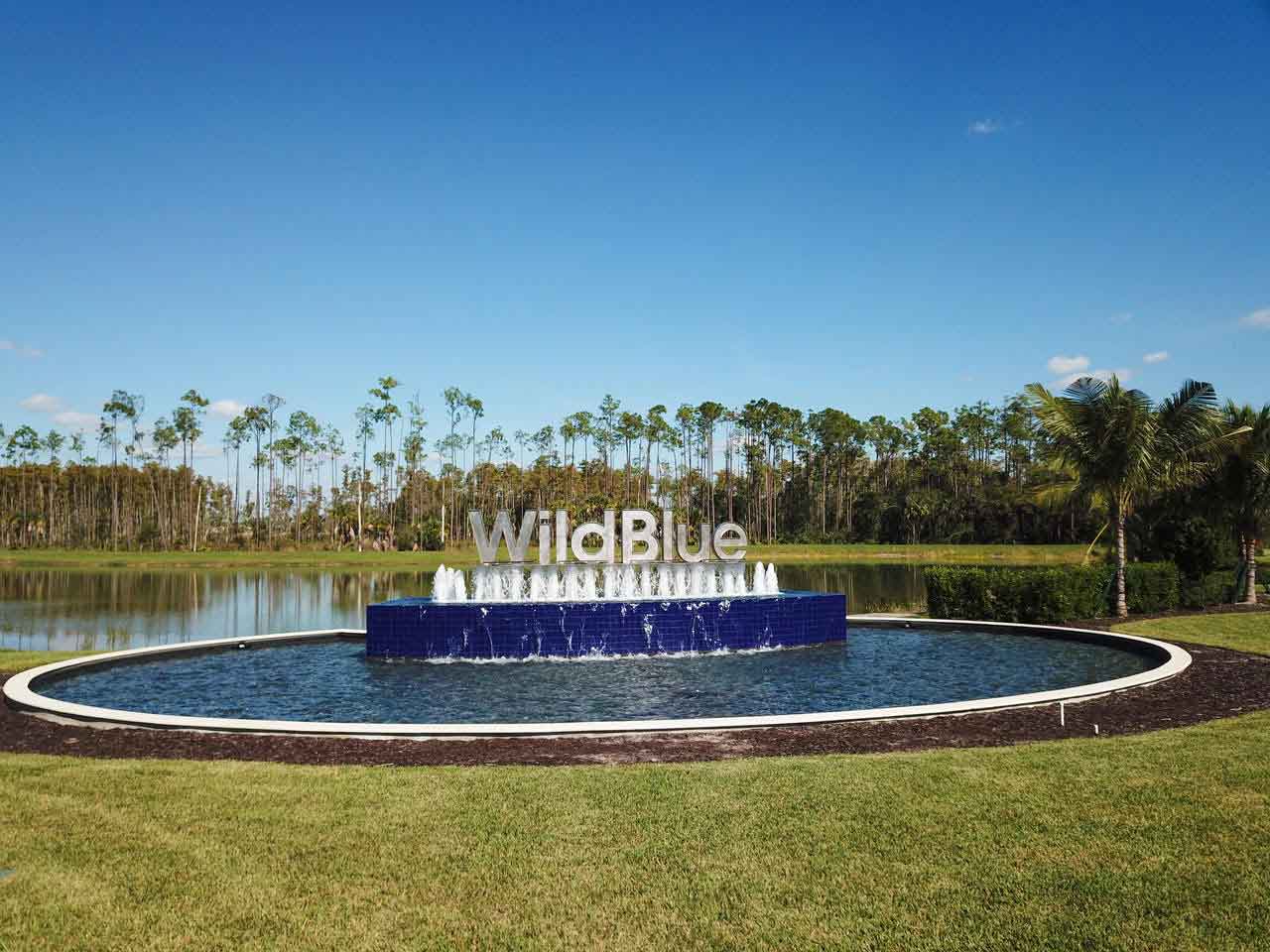 A fountain in the middle of a lush green field next to a lake.