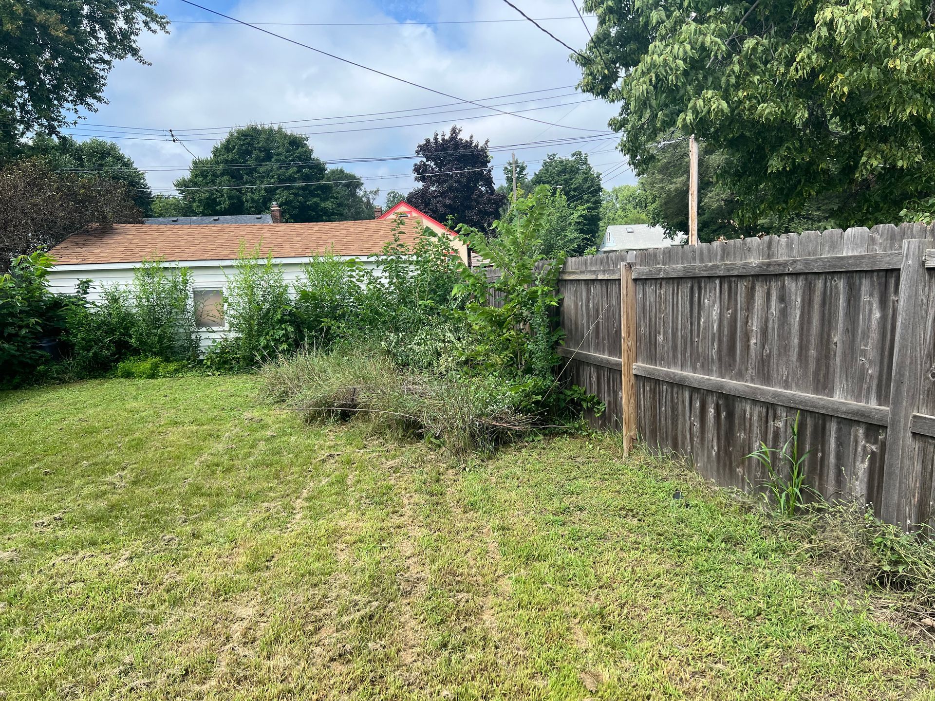 Grassy backyard with wooden fence, bushes, and a small house under trees in the background