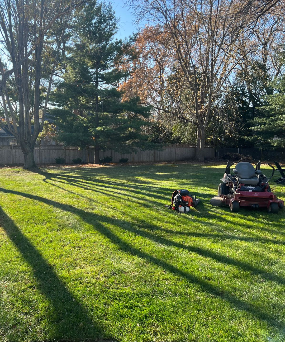 Sunlit grassy yard with long shadows, trees, and a red lawn mower near a fence.