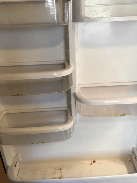 Refrigerator basket shelf —  Denver, CO — The Constant Cleaner
