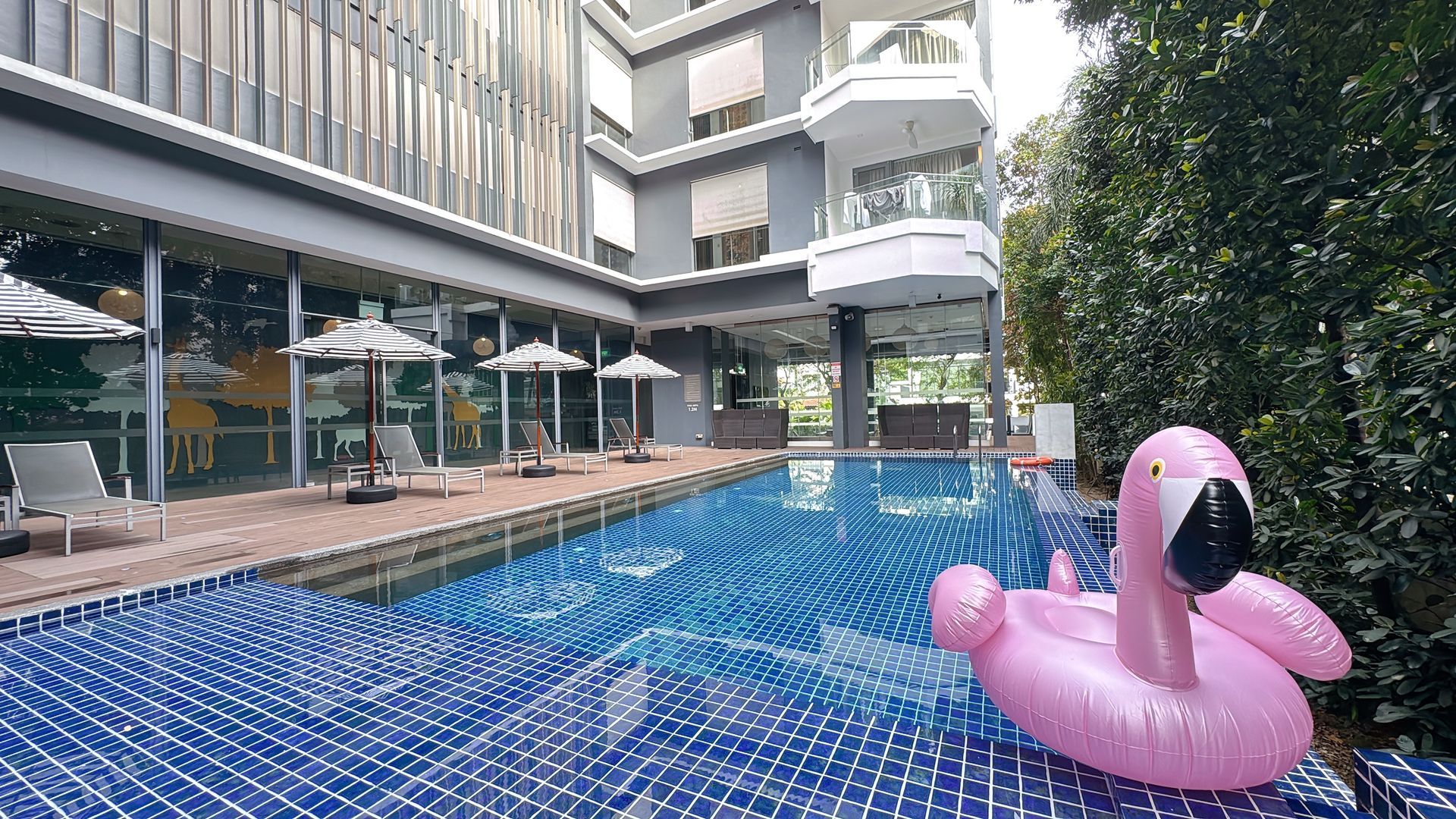 Swimming pool with pink flamingo float, lounge chairs, and building in background.