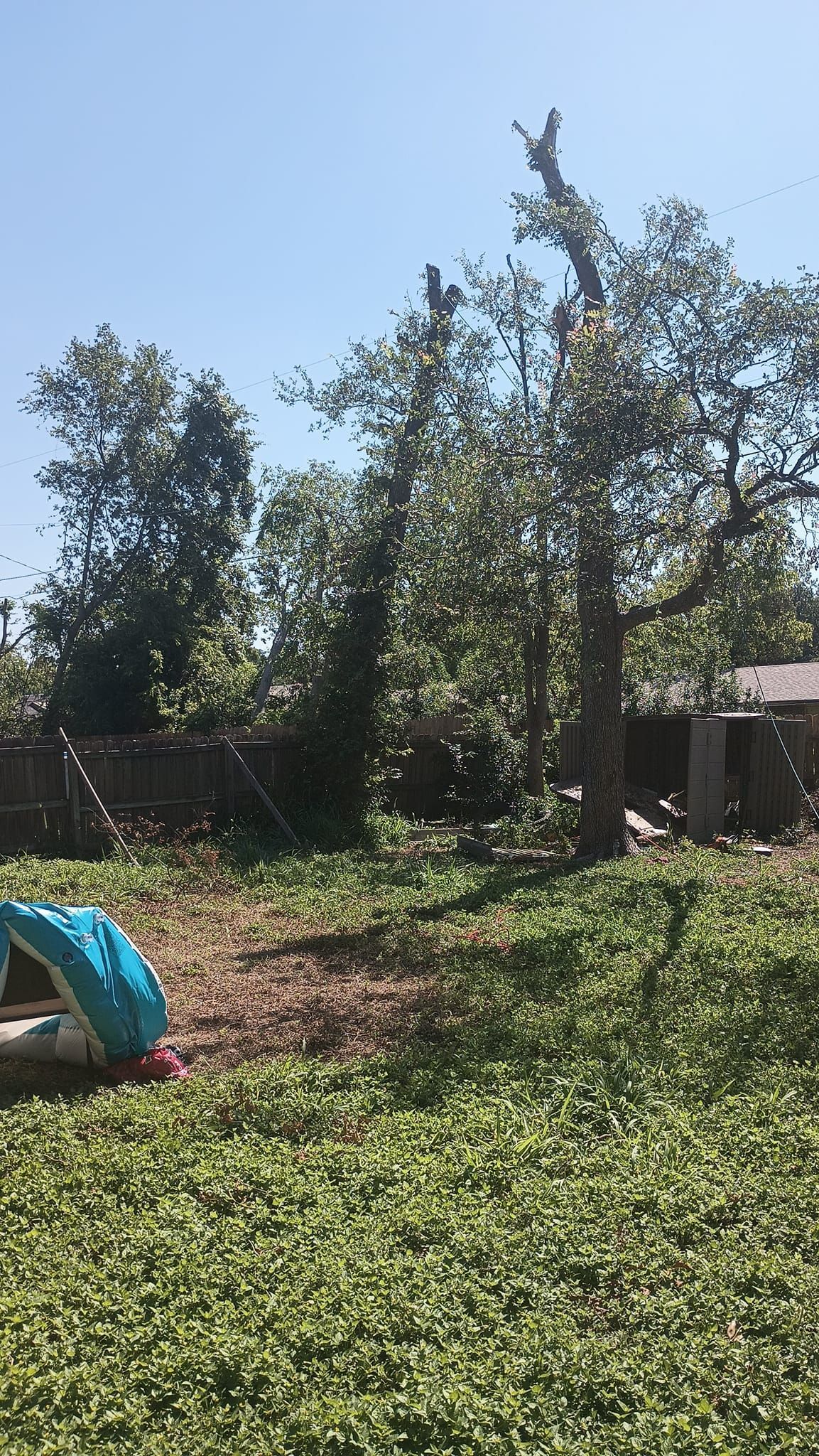 A blue tent is sitting in the middle of a grassy field.