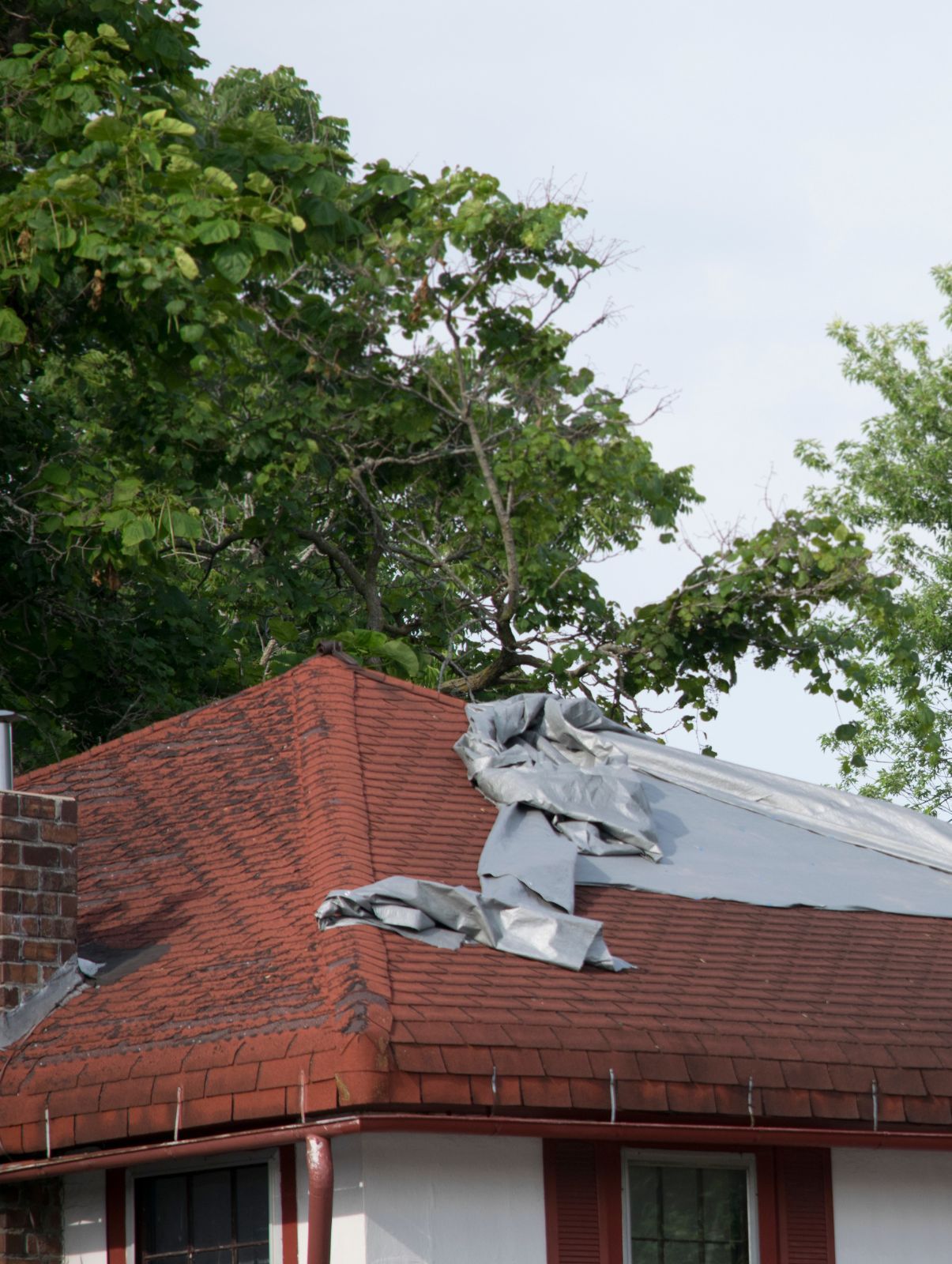 Damaged roof with torn gray tarp over red shingles on a house, with trees behind it