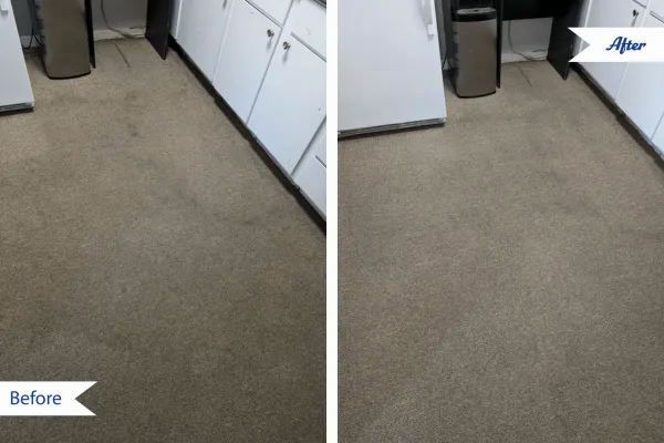 A man is cleaning a carpet with a chem-dry machine
