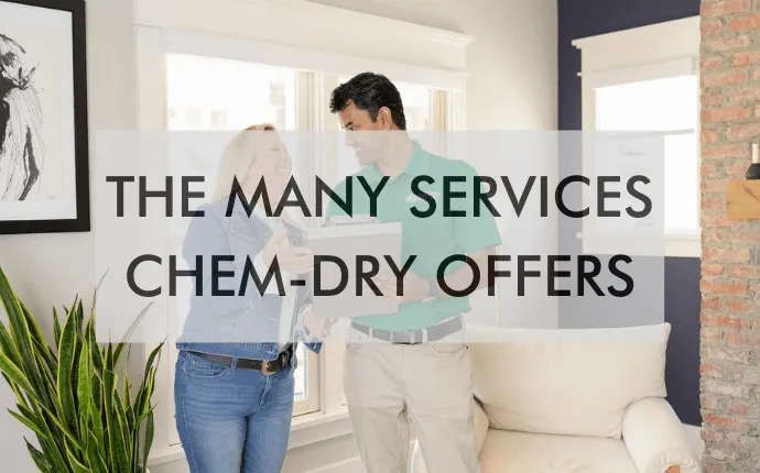 a man and a woman are standing behind the words the many services chem-dry offers