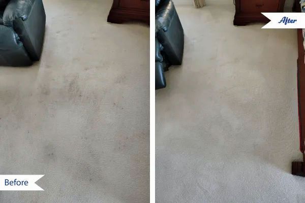 Carpet before and after cleaning. Shows stained off-white carpet being cleaned in a living room setting.